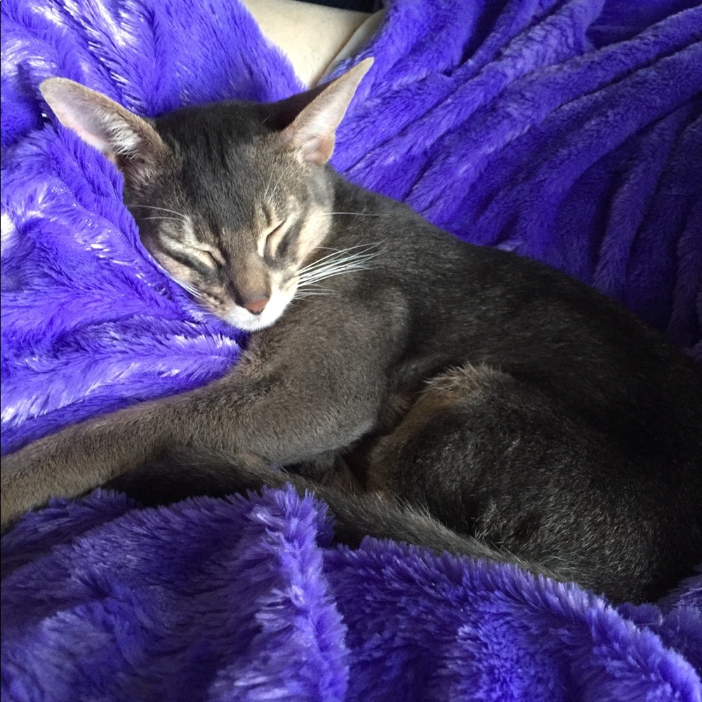 Meet your Posher, Vicki